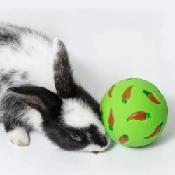 Iepure Treat Ball Animal de companie Slow Feeder Jucărie interactivă pentru iepurași Gustare Jucărie Minge Rezistenta la mușcătu