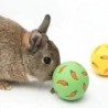 Iepure Treat Ball Animal de companie Slow Feeder Jucărie interactivă pentru iepurași Gustare Jucărie Minge Rezistenta la mușcătu