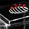 Cutie de izolare pentru incubator de reproducție pentru acvariu, strat dublu, 4 camere, acrilic transparent, cutie de incubație 