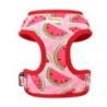 Mesh Nylon Dog Ham Vest Vestă Moale Căptușită Câini Pisici Veste Harnașuri Cactus Print Pentru Câini Mici Medii Pisici Bulldog F
