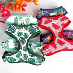 Mesh Nylon Dog Ham Vest Vestă Moale Căptușită Câini Pisici Veste Harnașuri Cactus Print Pentru Câini Mici Medii Pisici Bulldog F
