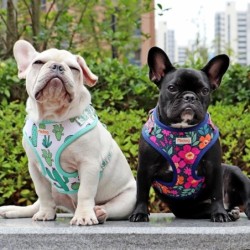 Mesh Nylon Dog Ham Vest Vestă Moale Căptușită Câini Pisici Veste Harnașuri Cactus Print Pentru Câini Mici Medii Pisici Bulldog F