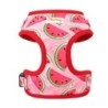 Mesh Nylon Dog Ham Vest Vestă Moale Căptușită Câini Pisici Veste Harnașuri Cactus Print Pentru Câini Mici Medii Pisici Bulldog F