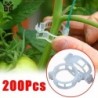150/50 buc. Clipuri de suport pentru plante din plastic, reutilizabile, pentru protecția viei de vie, instrument de fixare pentr