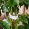 150/50 buc. Clipuri de suport pentru plante din plastic, reutilizabile, pentru protecția viei de vie, instrument de fixare pentr