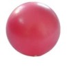 Noua minge de yoga de 25 cm Exercițiu de gimnastică Fitness Pilates Minge de echilibru Exercițiu de gimnastică Fitness Yoga Core