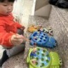 Dinozaur Jucării de pescuit magnetice simple Jucării de pescuit cu tijă Jucării pentru copii Bebeluși Montessori cu tije Cadou e