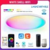 Plafoniera rotundă LED WIFI inteligentă RGBCW Tuya APP reglabilă compatibilă cu Alexa Google Assistant pentru dormitor