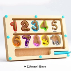 Jocuri Montessori de sortare a culorilor magnetice Maze Board Pen Jocuri cu margele în mișcare Control din lemn Jocuri senzorial