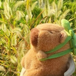 Simulare Cartofi prăjiți Capybara Jucărie de pluș Păpușă de pânză Păpușă drăguță Capibara Anime Jucărie pufoasă Papusa de pluș C