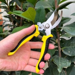 Foarfece de grădină pentru bonsai, tăiere profesională a copacilor, ramuri de struguri, gadgeturi, unelte agricole pentru fermă,