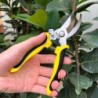 Foarfece de grădină pentru bonsai, tăiere profesională a copacilor, ramuri de struguri, gadgeturi, unelte agricole pentru fermă,