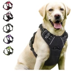 Zgărzi pentru câini, hamuri, veste mari, lesă, magazin de animale de companie, totul pentru câini, accesorii din piele pentru că