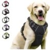 Zgărzi pentru câini, hamuri, veste mari, lesă, magazin de animale de companie, totul pentru câini, accesorii din piele pentru că