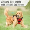 Zgărzi pentru câini, hamuri, veste mari, lesă, magazin de animale de companie, totul pentru câini, accesorii din piele pentru că