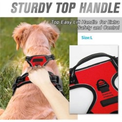 Zgărzi pentru câini, hamuri, veste mari, lesă, magazin de animale de companie, totul pentru câini, accesorii din piele pentru că