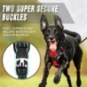 Zgărzi pentru câini, hamuri, veste mari, lesă, magazin de animale de companie, totul pentru câini, accesorii din piele pentru că