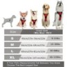 Zgărzi pentru câini, hamuri, veste mari, lesă, magazin de animale de companie, totul pentru câini, accesorii din piele pentru că