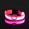 Nailon LED noapte siguranță intermitentă strălucire în întuneric lesă pentru câini câini luminoase fluorescente guler pentru ani