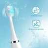 Periuță de dinți electrică sonică pentru bărbați și femei, pentru adulți, reîncărcabilă prin USB, IPX7, impermeabilă, pentru alb