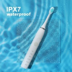 Periuță de dinți electrică sonică pentru bărbați și femei, pentru adulți, reîncărcabilă prin USB, IPX7, impermeabilă, pentru alb
