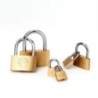 Lacăt din cupru Încuietori mici pentru dulap de bagaje Hardware pentru îmbunătățirea casei 20mm 25mm 30mm 40mm 50mm Include 3 ch