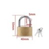 Lacăt din cupru Încuietori mici pentru dulap de bagaje Hardware pentru îmbunătățirea casei 20mm 25mm 30mm 40mm 50mm Include 3 ch