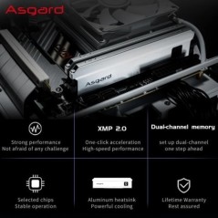 Asgard ddr4 memorie ram ddr4 8gb 16GBx2 32GB 3200MHz 3600MHZ ram ddr4 Feryr Series radiator metalic pentru PC